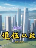 重生之退伍从政